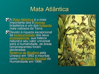Mata Atlântica A  Mata Atlântica  é o mais importante dos 6  biomas  brasileiros e um dos  hotspots  mais valiosos da Terra.  Devido à riqueza excepcional da  biodiversidade  dos seus  ecossistemas , sua beleza natural e seu valor universal para a humanidade, as áreas remanescentes foram declaradas  Reserva da Biosfera  pela Unesco em 1992 e inscritas como  Patrimônio Mundial  da Humanidade em 1999. 