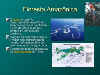 Floresta Amazônica O  bioma  Amazônia (Amazonas) abrange 5% da superfície terrestre do planeta e 40% da América do Sul, sendo 61% em território brasileiro. A região do Amazonas possui a maior rede hidrográfica do mundo, fornecendo 20% do volume mundial da água doce.  É considerada a maior reserva de  biodiversidade  da Terra.  