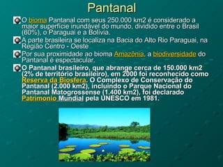 Pantanal O  bioma  Pantanal com seus 250.000 km2 é considerado a maior superfície inundável do mundo, dividido entre o Brasil (60%), o Paraguai e a Bolívia. A parte brasileira se localiza na Bacia do Alto Rio Paraguai, na Região Centro - Oeste  Por sua proximidade ao bioma  Amazônia , a  biodiversidade  do Pantanal é espectacular.  O Pantanal brasileiro, que abrange cerca de 150.000 km2 (2% de território brasileiro), em 2000 foi reconhecido como  Reserva da Biosfera . O Complexo de Conservação do Pantanal (2.000 km2), incluindo o Parque Nacional do Pantanal Matogrossense (1.400 km2), foi declarado  Patrimonio  Mundial  pela UNESCO em 1981.    