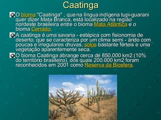 Caatinga O  bioma  "Caatinga" , que na língua indígena tupi-guarani quer dizer Mata Branca, está localizado na região nordeste brasileira entre o bioma  Mata Atlântica  e o bioma  Cerrado . A caatinga é uma savana - estépica com fisionomia de deserto, que se caracteriza por um clima semi - árido com poucas e irregulares chuvas,  solos  bastante férteis e uma vegetação aparentemente seca.  O bioma Caatinga abrange cerca de 850.000 km2 (10% do território brasileiro), dos quais 200.000 km2 foram reconhecidos em 2001 como  Reserva da Biosfera .  