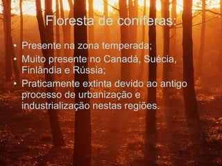 Floresta de coníferas: Presente na zona temperada; Muito presente no Canadá, Suécia, Finlândia e Rússia; Praticamente extinta devido ao antigo processo de urbanização e industrialização nestas regiões. 