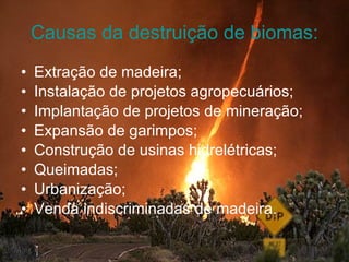Causas da destruição de biomas: Extração de madeira; Instalação de projetos agropecuários; Implantação de projetos de mineração; Expansão de garimpos; Construção de usinas hidrelétricas; Queimadas; Urbanização; Venda indiscriminadas de madeira. 