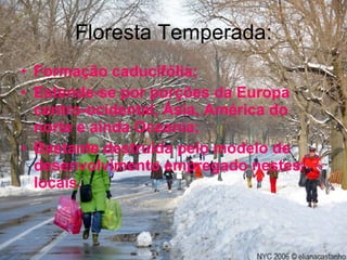 Floresta Temperada: Formação caducifólia; Estende-se por porções da Europa centro-ocidental, Ásia, América do norte e ainda Oceania; Bastante destruída pelo modelo de desenvolvimento empregado nestes locais. 