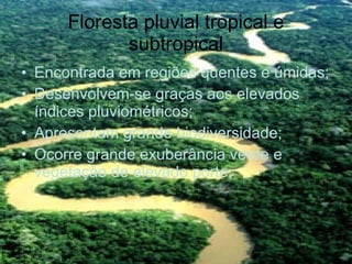 Floresta pluvial tropical e subtropical Encontrada em regiões quentes e úmidas; Desenvolvem-se graças aos elevados índices pluviométricos; Apresentam grande biodiversidade; Ocorre grande exuberância verde e vegetação de elevado porte; 