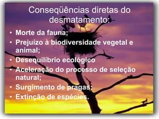 Conseqüências diretas do desmatamento: Morte da fauna; Prejuízo à biodiversidade vegetal e animal; Desequilíbrio ecológico Aceleração do processo de seleção natural; Surgimento de pragas; Extinção de espécies. 