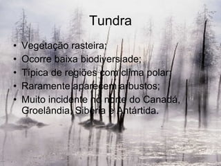 Tundra Vegetação rasteira; Ocorre baixa biodiversiade; Típica de regiões com clima polar; Raramente aparecem arbustos; Muito incidente no norte do Canadá, Groelândia, Sibéria e Antártida. 