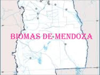 BIOMAS DE MENDOZA
 