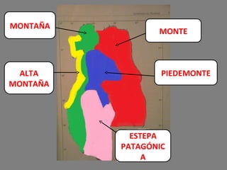 ESTEPA
PATAGÓNIC
A
MONTE
PIEDEMONTE
MONTAÑA
ALTA
MONTAÑA
 