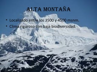 ALTA MONTAÑA
• Localizado entre los 3500 y 4500 msnm.
• Clima riguroso con baja biodiversidad.
 