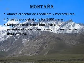MONTAÑA
• Abarca el sector de Cordillera y Precordillera.
• Situado por debajo de los 3500 msnm.
• Mejores condiciones bioclimáticas,
permitiendo la existencia mayor diversidad de
flora y fauna.
 