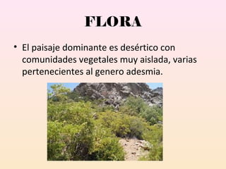 FLORA
• El paisaje dominante es desértico con
comunidades vegetales muy aislada, varias
pertenecientes al genero adesmia.
 