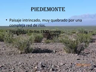PIEDEMONTE
• Paisaje intrincado, muy quebrado por una
compleja red de ríos.
• Por debajo de los 1500 msnm.
 