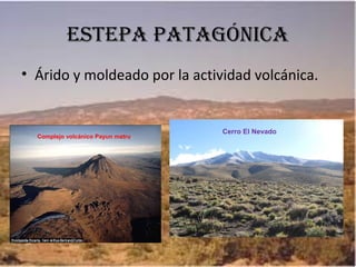 ESTEPA PATAGÓNICA
• Árido y moldeado por la actividad volcánica.
Complejo volcánico Payun matru
Cerro El Nevado
 
