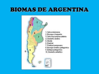 BIOMAS DE ARGENTINABIOMAS DE ARGENTINA
 
