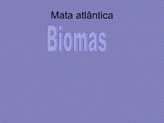 Mata atlântica Biomas 