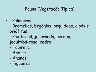 Fauna (Vegetação Típica) - Palmeiras - Bromélias, begônias, orquídeas, cipós e briófitas - Pau-brasil, jacarandá, peroba, jequitibá-rosa, cedro - Tapiriria - Andira - Ananas - Figueiras 