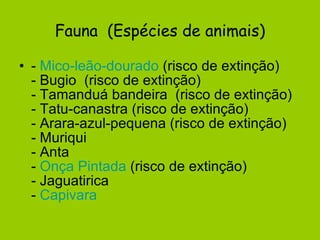 Fauna  (Espécies de animais) -  Mico-leão-dourado  (risco de extinção) - Bugio  (risco de extinção) - Tamanduá bandeira  (risco de extinção) - Tatu-canastra (risco de extinção) - Arara-azul-pequena (risco de extinção) - Muriqui - Anta -  Onça Pintada  (risco de extinção) - Jaguatirica  -  Capivara   