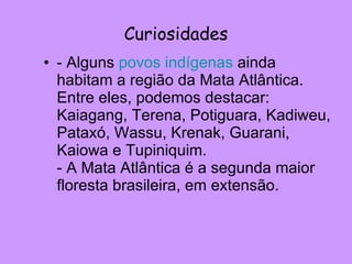 Curiosidades - Alguns  povos indígenas  ainda habitam a região da Mata Atlântica. Entre eles, podemos destacar: Kaiagang, Terena, Potiguara, Kadiweu, Pataxó, Wassu, Krenak, Guarani, Kaiowa e Tupiniquim. - A Mata Atlântica é a segunda maior floresta brasileira, em extensão.  