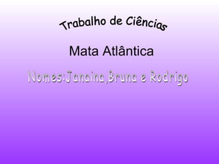 Mata Atlântica Trabalho de Ciências Nomes:Janaina,Bruna e Rodrigo 
