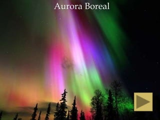 Aurora Boreal
 