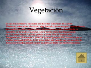 Vegetación
Es casi nula debido a las duras condiciones climáticas de la zona.
 Destacan, entre otros, el extraño alga llamado chromomorphis sanctaclaussis,
que cambia de color según la hora: al amanecer es rojo, al mediodía es
 amarillo, en la tarde es naranja y en la noche emite luz fluorescente
(si se le pone luz en la noche cambia a azul). Pero la especie más
 importante es el toromiro o árbol de pascua (pasqualinis toromiro) que es
el árbol nacional del Polo. Es el único árbol del mundo que no necesita de
 tierra en su medio natural ya que se aferra al hielo con raíces especiales.
 