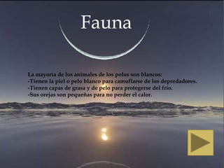 Fauna

La mayoría de los animales de los polos son blancos:
-Tienen la piel o pelo blanco para camuflarse de los depredadores.
-Tienen capas de grasa y de pelo para protegerse del frio.
-Sus orejas son pequeñas para no perder el calor.
 