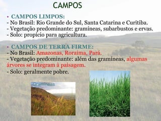 CAMPOS
• CAMPOS LIMPOS:
- No Brasil: Rio Grande do Sul, Santa Catarina e Curitiba.
- Vegetação predominante: gramíneas, subarbustos e ervas.
- Solo: propício para agricultura.
• CAMPOS DE TERRA FIRME:
- No Brasil: Amazonas, Roraima, Pará.
- Vegetação predominante: além das gramíneas, algumas
árvores se integram à paisagem.
- Solo: geralmente pobre.
Gramíneas
 