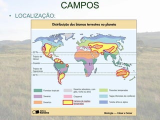 • LOCALIZAÇÃO:
CAMPOS
 