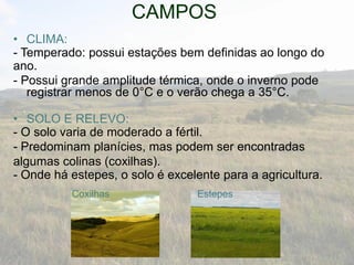 CAMPOS
• CLIMA:
- Temperado: possui estações bem definidas ao longo do
ano.
- Possui grande amplitude térmica, onde o inverno pode
registrar menos de 0°C e o verão chega a 35°C.
• SOLO E RELEVO:
- O solo varia de moderado a fértil.
- Predominam planícies, mas podem ser encontradas
algumas colinas (coxilhas).
- Onde há estepes, o solo é excelente para a agricultura.
Coxilhas Estepes
 
