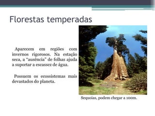 Florestas temperadas
Aparecem em regiões com
invernos rigorosos. Na estação
seca, a “ausência” de folhas ajuda
a suportar a escassez de água.
Possuem os ecossistemas mais
devastados do planeta.
Sequoias, podem chegar a 100m.
 