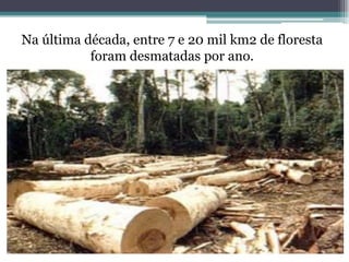 Na última década, entre 7 e 20 mil km2 de floresta
foram desmatadas por ano.
 
