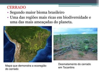 CERRADO
• Segundo maior bioma brasileiro
• Uma das regiões mais ricas em biodiversidade e
uma das mais ameaçadas do planeta.
Mapa que demonstra a ecoregião
do cerrado
Desmatamento do cerrado
em Tocantins
 