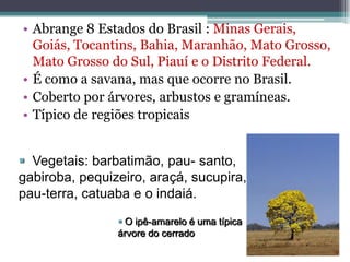• Abrange 8 Estados do Brasil : Minas Gerais,
Goiás, Tocantins, Bahia, Maranhão, Mato Grosso,
Mato Grosso do Sul, Piauí e o Distrito Federal.
• É como a savana, mas que ocorre no Brasil.
• Coberto por árvores, arbustos e gramíneas.
• Típico de regiões tropicais
 O ipê-amarelo é uma típica
árvore do cerrado
 Vegetais: barbatimão, pau- santo,
gabiroba, pequizeiro, araçá, sucupira,
pau-terra, catuaba e o indaiá.
 