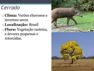 Cerrado
oClima: Verões chuvosos e
invernos secos
oLocalização: Brasil
oFlora: Vegetação rasteira,
e árvores pequenas e
retorcidas.
 