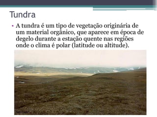 Tundra
• A tundra é um tipo de vegetação originária de
um material orgânico, que aparece em época de
degelo durante a estação quente nas regiões
onde o clima é polar (latitude ou altitude).
 