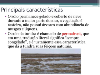 Principais características
• O solo permanece gelado e coberto de neve
durante a maior parte do ano, a vegetação é
rasteira, não possui árvores com abundância de
musgos e liquens.
• O solo da tundra é chamado de permafrost, que
em uma tradução literal significa “sempre
congelado”, e é justamente essa característica
que dá a tundra suas feições naturais.
 