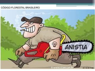 CÓDIGO FLORESTAL BRASILEIRO
 