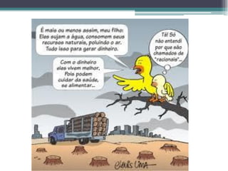 Biomas    mundo e brasil