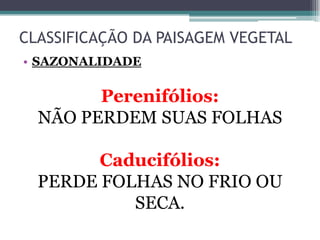 CLASSIFICAÇÃO DA PAISAGEM VEGETAL
• SAZONALIDADE
Perenifólios:
NÃO PERDEM SUAS FOLHAS
Caducifólios:
PERDE FOLHAS NO FRIO OU
SECA.
 