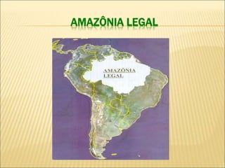 Durante muito tempo, atribuiu-se à
Amazônia o papel de “pulmão do
mundo”. Hoje, sabe-se que a
quantidade de oxigênio que a...
