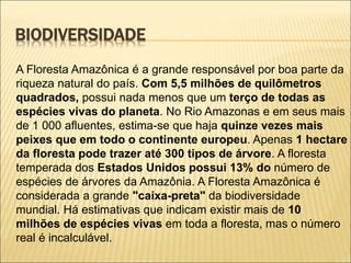 Enorme riqueza sobre solo pobres
O solo amazônico apresenta baixos índices
de nutrientes, é ligeiramente ácido e
bastante ...