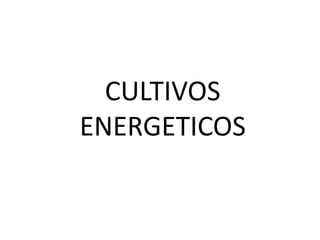 CULTIVOS
ENERGETICOS
 