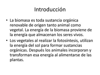 Introducción
• La biomasa es toda sustancia orgánica
  renovable de origen tanto animal como
  vegetal. La energía de la biomasa proviene de
  la energía que almacenan los seres vivos.
• Los vegetales al realizar la fotosíntesis, utilizan
  la energía del sol para formar sustancias
  orgánicas. Después los animales incorporan y
  transforman esa energía al alimentarse de las
  plantas.
 