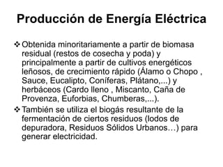 Producción de Energía Eléctrica
 Obtenida minoritariamente a partir de biomasa
  residual (restos de cosecha y poda) y
  principalmente a partir de cultivos energéticos
  leñosos, de crecimiento rápido (Álamo o Chopo ,
  Sauce, Eucalipto, Coníferas, Plátano,...) y
  herbáceos (Cardo lleno , Miscanto, Caña de
  Provenza, Euforbias, Chumberas,...).
 También se utiliza el biogás resultante de la
  fermentación de ciertos residuos (lodos de
  depuradora, Residuos Sólidos Urbanos…) para
  generar electricidad.
 