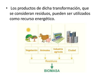 • Los productos de dicha transformación, que
  se consideran residuos, pueden ser utilizados
  como recurso energético.
 