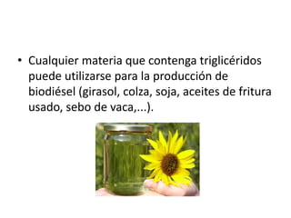 • Cualquier materia que contenga triglicéridos
  puede utilizarse para la producción de
  biodiésel (girasol, colza, soja, aceites de fritura
  usado, sebo de vaca,...).
 