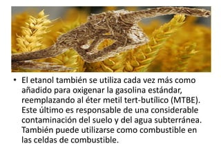 • El etanol también se utiliza cada vez más como
  añadido para oxigenar la gasolina estándar,
  reemplazando al éter metil tert-butílico (MTBE).
  Este último es responsable de una considerable
  contaminación del suelo y del agua subterránea.
  También puede utilizarse como combustible en
  las celdas de combustible.
 