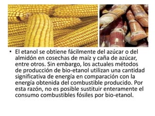 • El etanol se obtiene fácilmente del azúcar o del
  almidón en cosechas de maíz y caña de azúcar,
  entre otros. Sin embargo, los actuales métodos
  de producción de bio-etanol utilizan una cantidad
  significativa de energía en comparación con la
  energía obtenida del combustible producido. Por
  esta razón, no es posible sustituir enteramente el
  consumo combustibles fósiles por bio-etanol.
 
