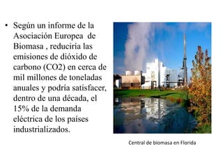 • Según un informe de la
  Asociación Europea de
  Biomasa , reduciría las
  emisiones de dióxido de
  carbono (CO2) en cerca de
  mil millones de toneladas
  anuales y podría satisfacer,
  dentro de una década, el
  15% de la demanda
  eléctrica de los países
  industrializados.
                                 Central de biomasa en Florida
 