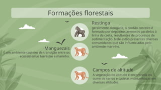 Restinga
geralmente alongada, o cordão costeiro é
formado por depósitos arenosos paralelos à
linha da costa, resultantes de processos de
sedimentação. Nele estão presentes diversas
comunidades que são influenciadas pelo
ambiente marinho.
Formações florestais
Manguezais
É um ambiente costeiro de transição entre os
ecossistemas terrestre e marinho.
Campos de altitude
A vegetação de altitude é encontrada no
cume de serras e cadeias montanhosas em
diversas altitudes.
 